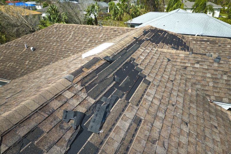 Roof Inspection for Damage
