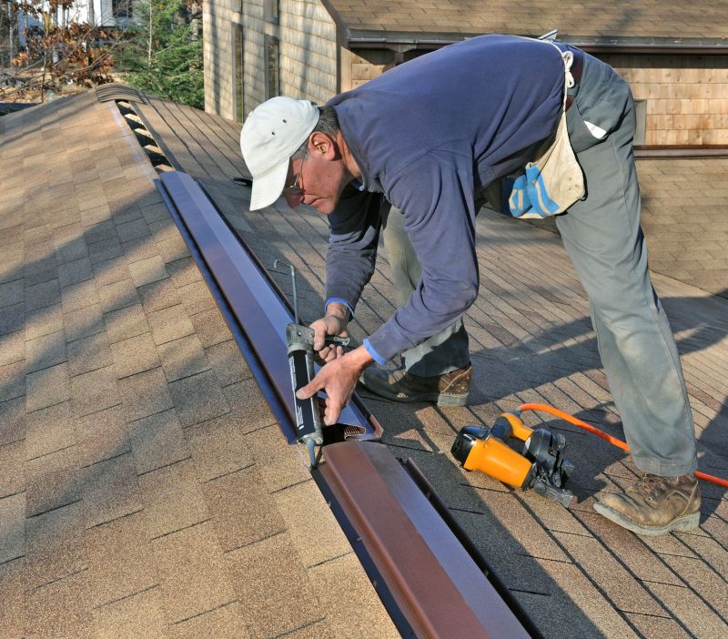 Roofing Service in Action
